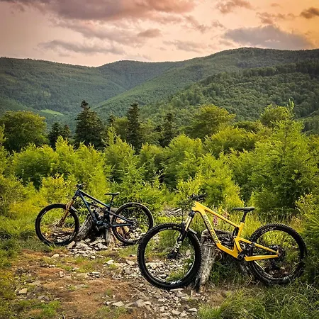 Lejlighed Riders Jezynowa *